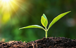 Sustainable investments