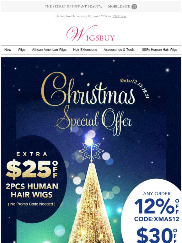 Extra $25 Off : Christmas Special Offer