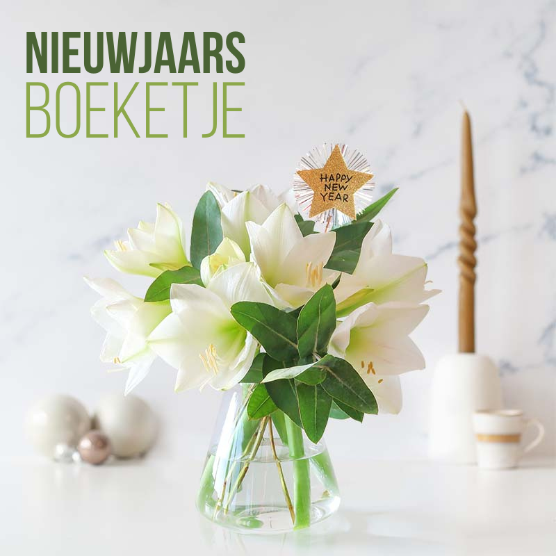 nieuwjaarswens-sturen