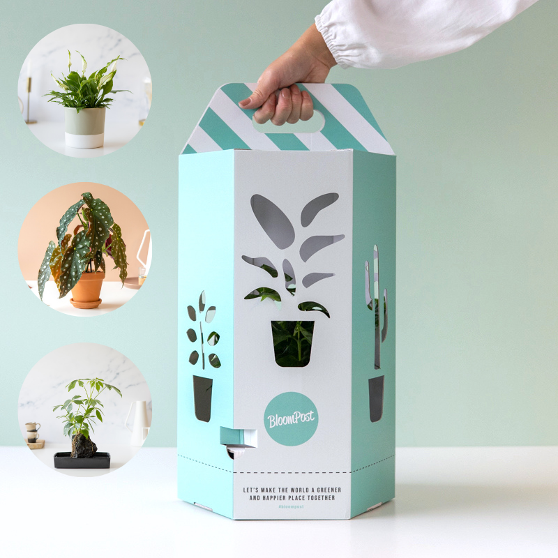 plant-cadeau
