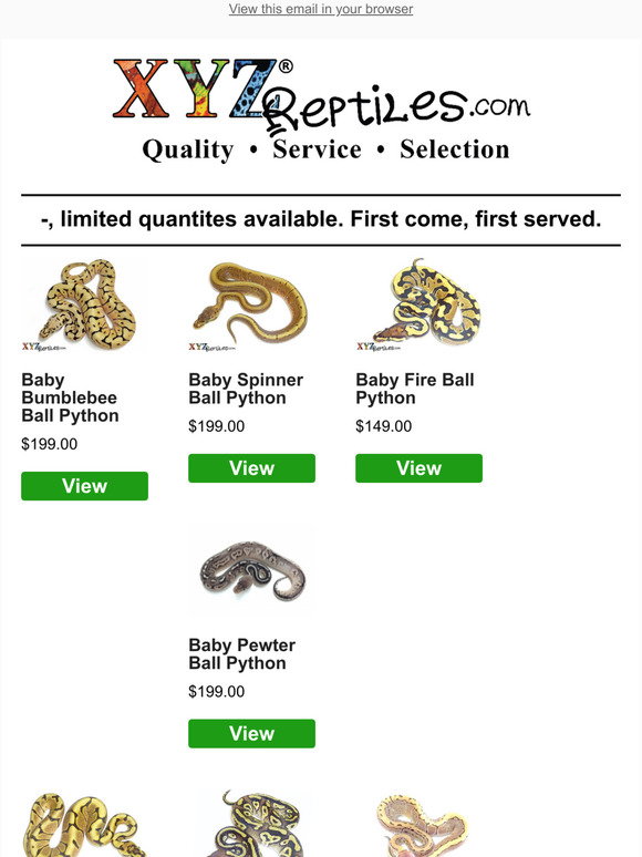 XYZ Reptiles: Over 20 Ball Python Morphs Back In Stock | Milled