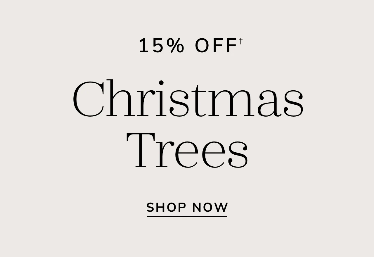 Christmas Tree Sale