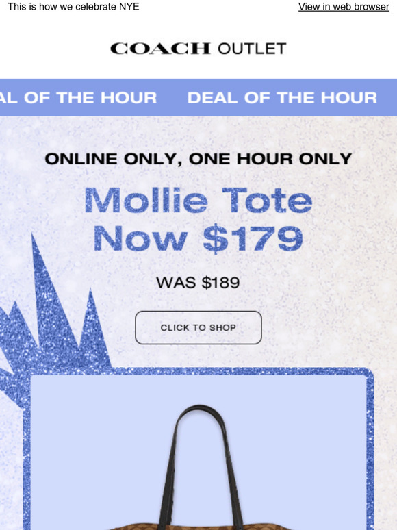 biodegradable paper bolsa