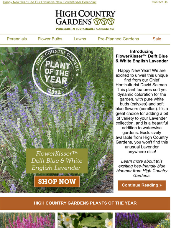 High Country Gardens: Introducing 2022 Plant Of The Year | Milled