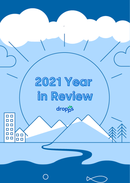 Dropps Year in Review