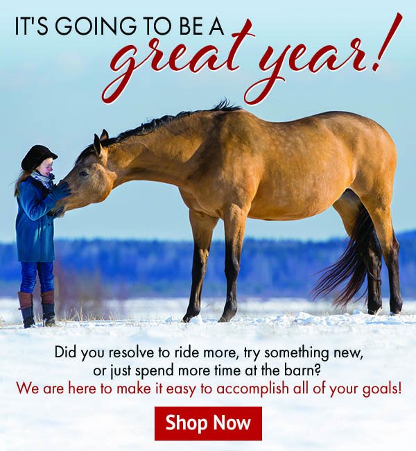 It’s Going to Be a Great Year! 20% Off or 30% Off Orders over $129*