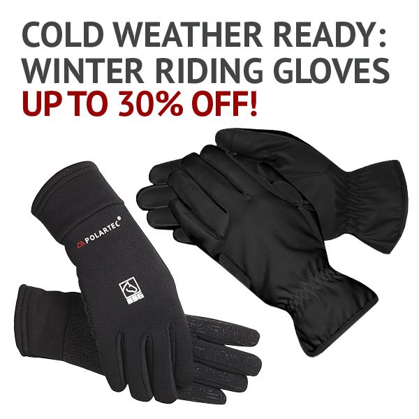 Cold Weather Ready: Winter Riding Gloves