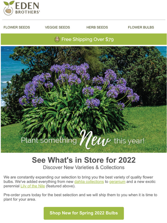 Eden Brothers Seed Company Our Big Reveal! Milled