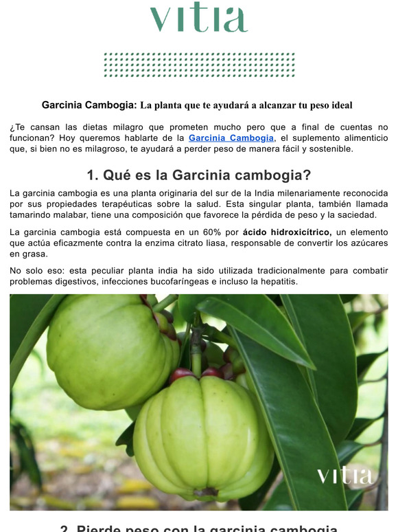 [-20%] Garcinia Cambogia: Quemagrasas y saciante  Empieza 2022 cuidando tu lnea.