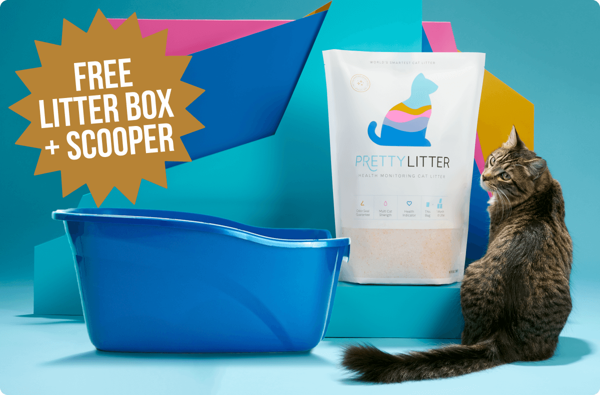 Start Fresh With A FREE Litter Box and Scooper