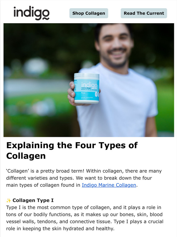 Indigo Marine Collagen What Are The Different Types Of Collagen Milled 7420