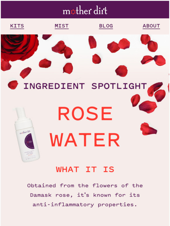 Mother Dirt Ingredients We and Why Rose Water Milled