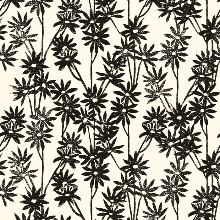 Daisy Bloom