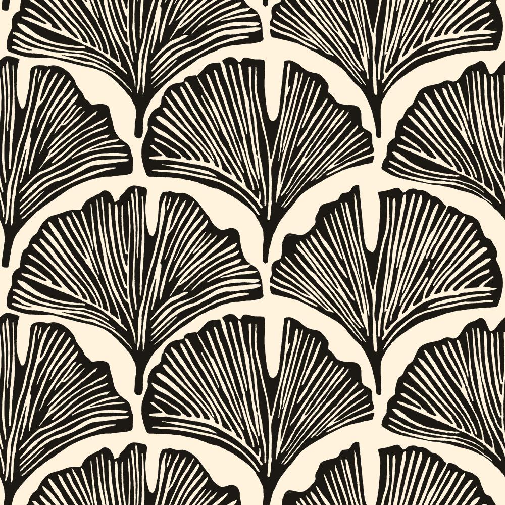 Feather Palm