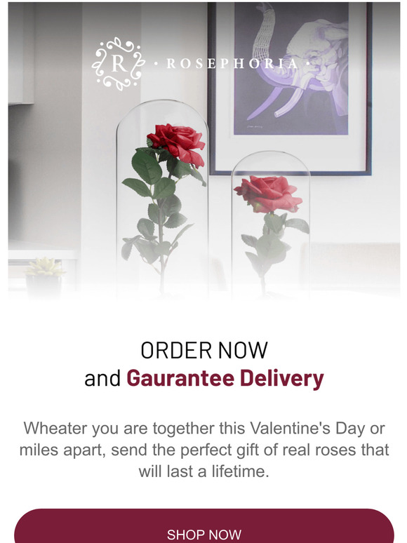 Dont Mess It Up - ORDER TODAY