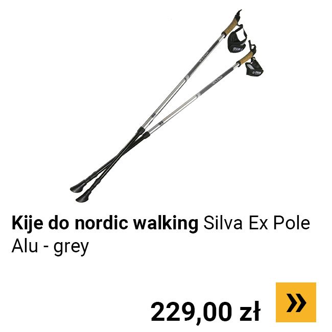 Kije do nordic walking Silva Ex Pole Alu - grey