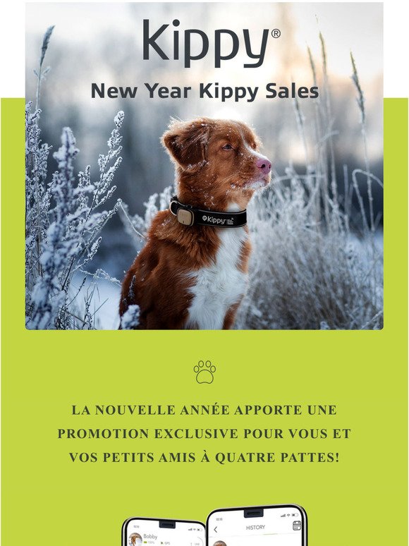 Bonnes propositions pour 2022 : achetez Kippy et protgez votre animal