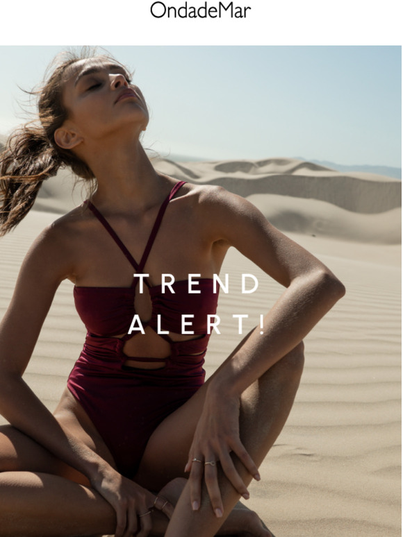 We Have a New Trend Alert