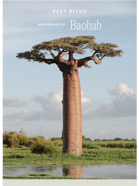 Ingredients 101  why we love Baobab
