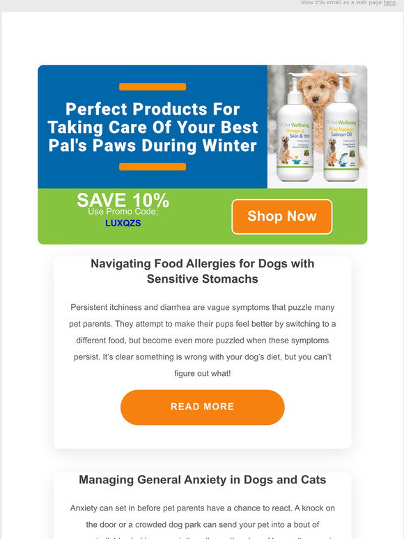 Pet Wellbeing Navigating Food Allergies for Dogs with Sensitive