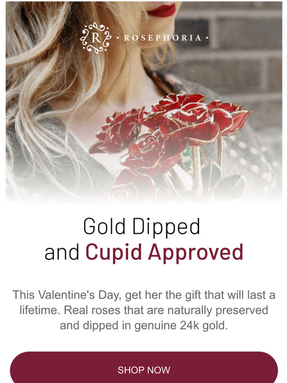 Cupid Approved Gift 