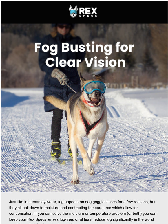 Rex Specs How to Stop Your Dogs Goggle From Fogging. + Get 25 Off V1