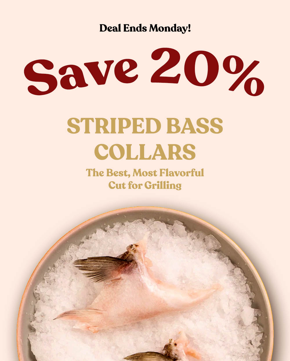 20% off Ocean Raised Striped Bass Collars