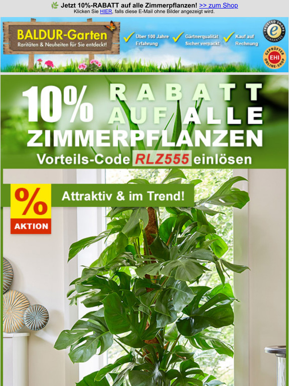 BALDURGarten KOO Herr jetzt 10RABATT auf alle Zimmerpflanzen! Milled