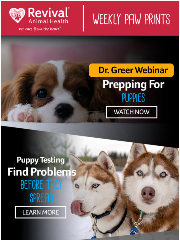 Revival Animal Health Proper Planning=Successful Pups Milled