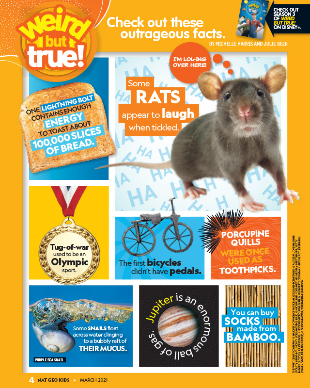 National Geographic: Spark their curiosity with Nat Geo Kids Magazine