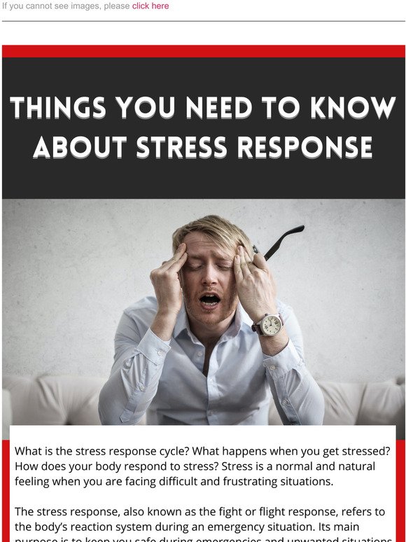 Understanding Stress Response