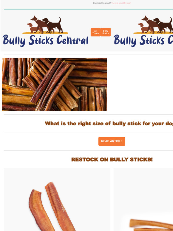 bullystickscentral What is the right size of bully stick for your dog