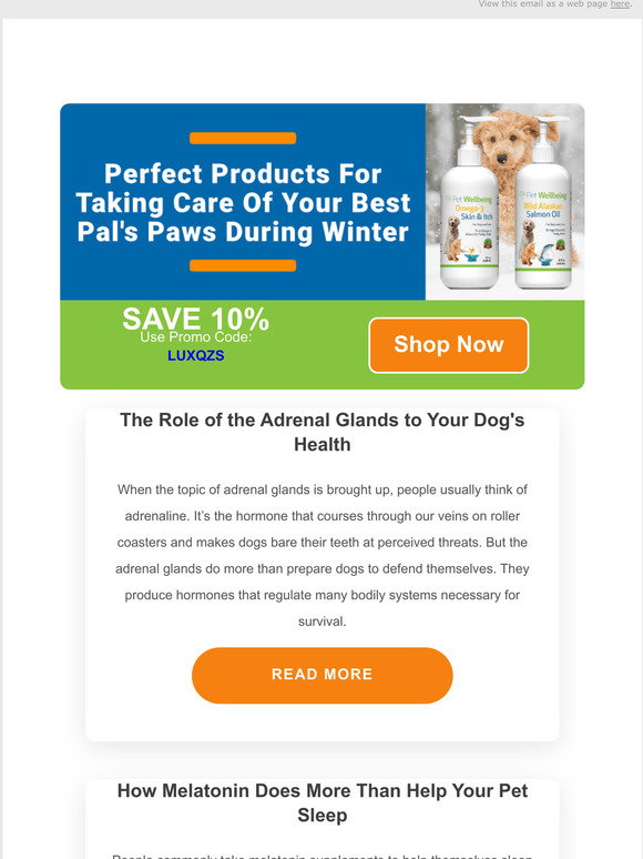 View of Pet Wellbeing: The Role of the Adrenal Glands to Your Dog's Health | Milled