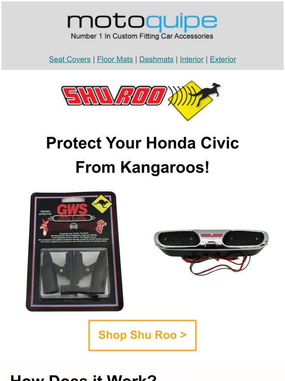 Protect Your Honda Civic From Kangaroos!