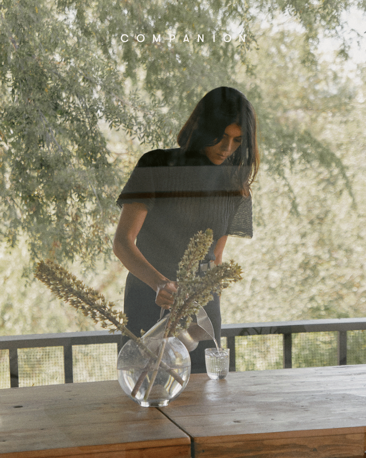 Meet The Curator: Neada Deters