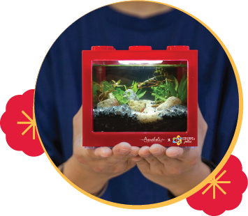 Mini Ecosystem Aquarium Workshop For Two