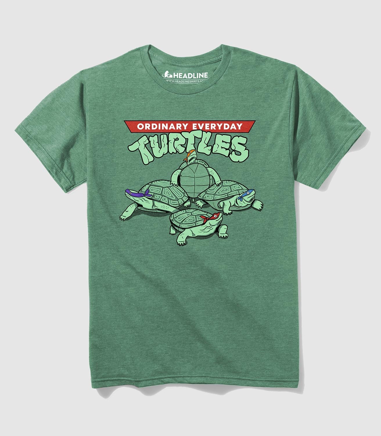 Image of Ordinary Everyday Turtles