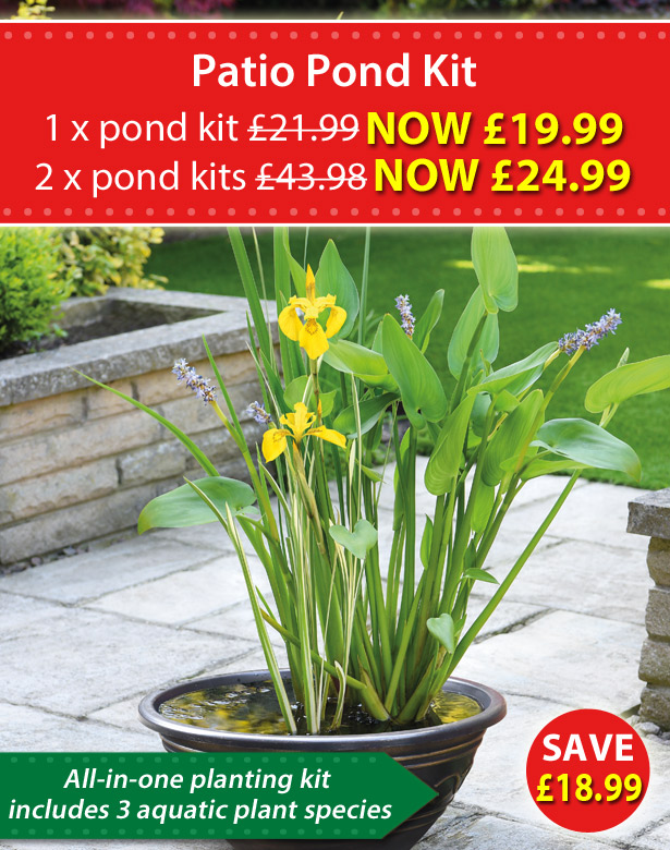 Van Meuwen Complete Patio Pond Kit now under 20! Milled