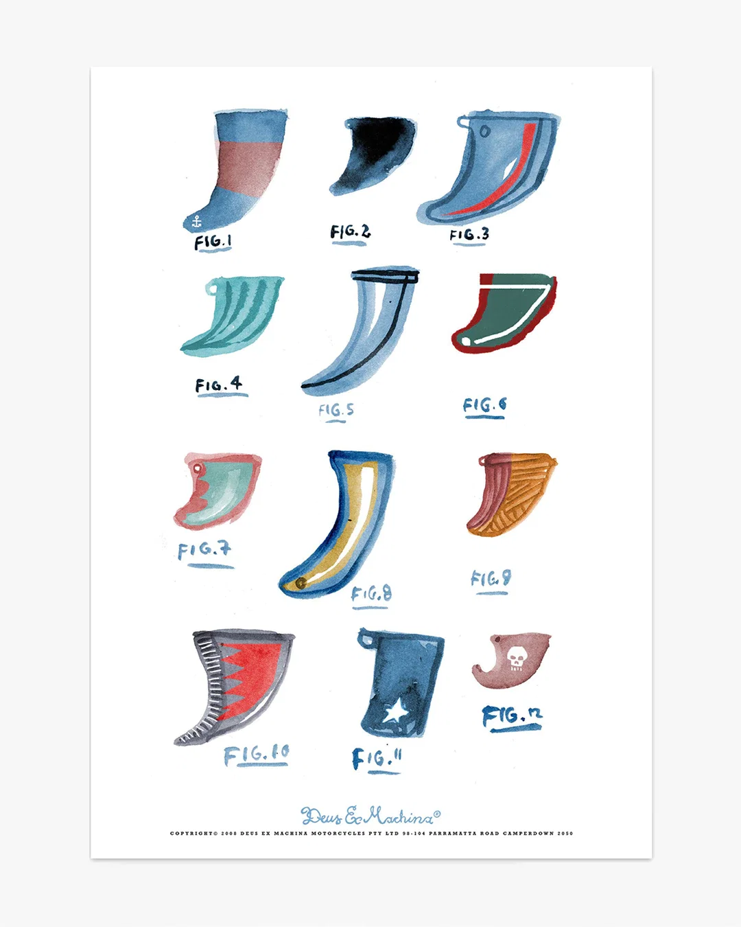 Image of Fin Evolution - Print