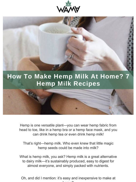 WAMA Underwear How To Make Hemp Milk At Home? 7 Hemp Milk Recipes Milled