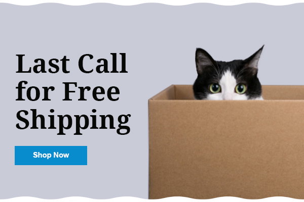 Last Call for Free Shipping