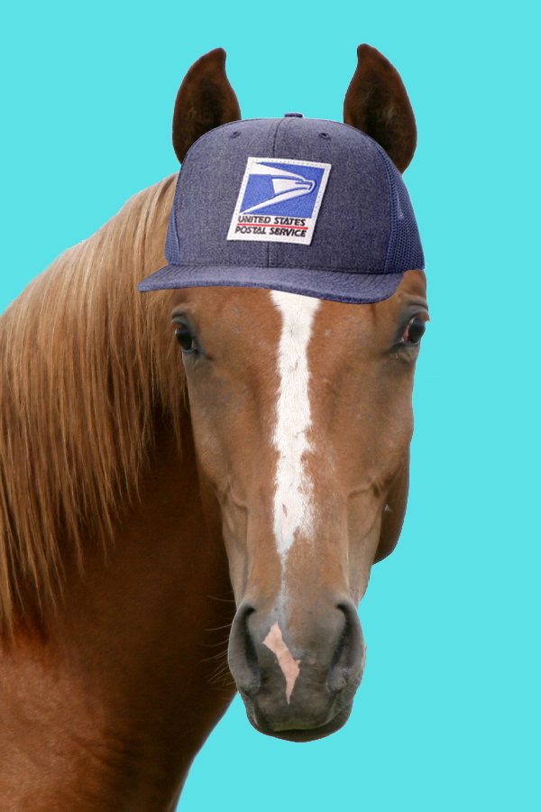 shop horses