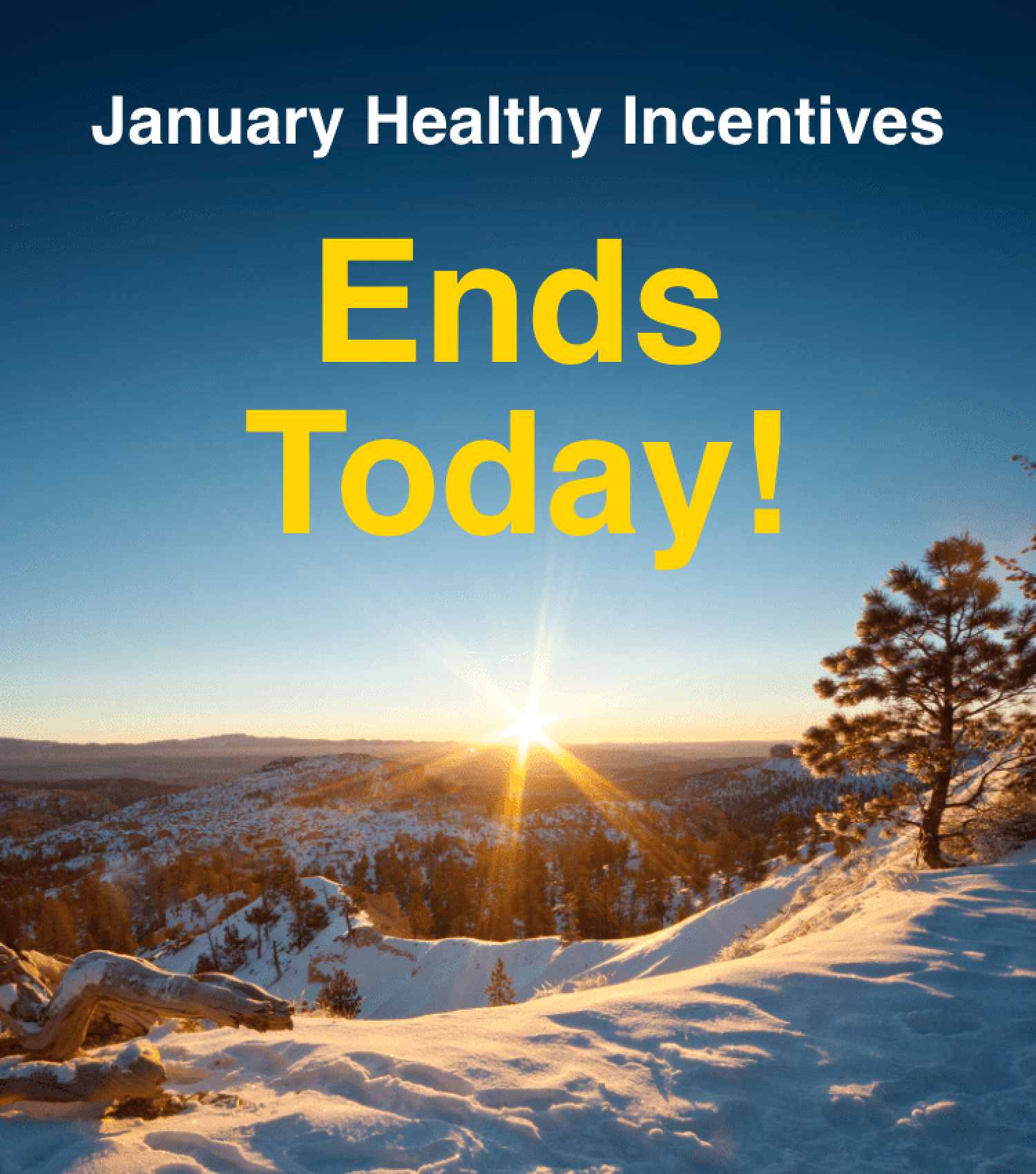 January Healthy Incentives