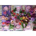 Planet Puzzles DE