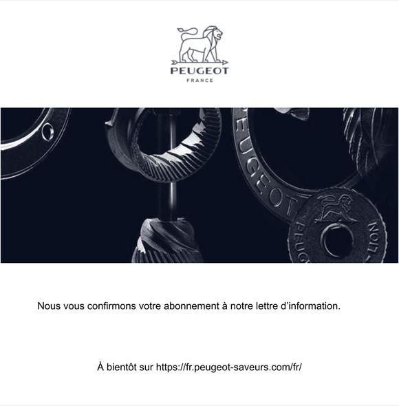 Succs de confirmation de votre abonnement  la newsletter