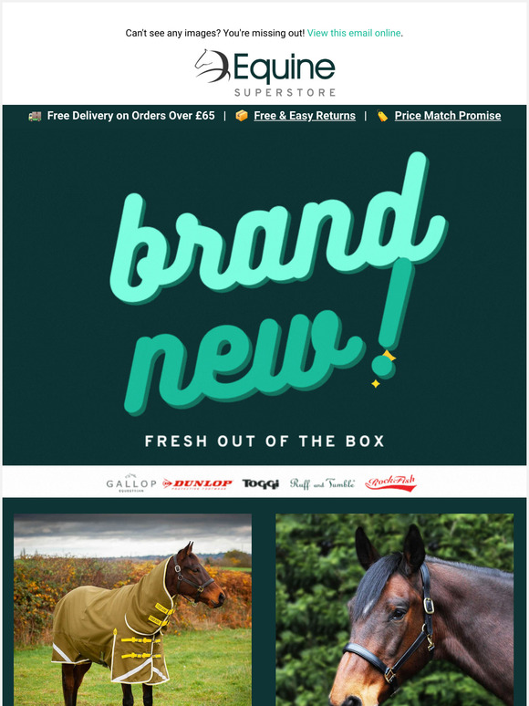 Brand New Rugs, Boots & More!
