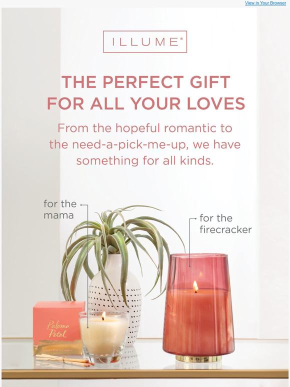 The Perfect Gift For All Your Loves 