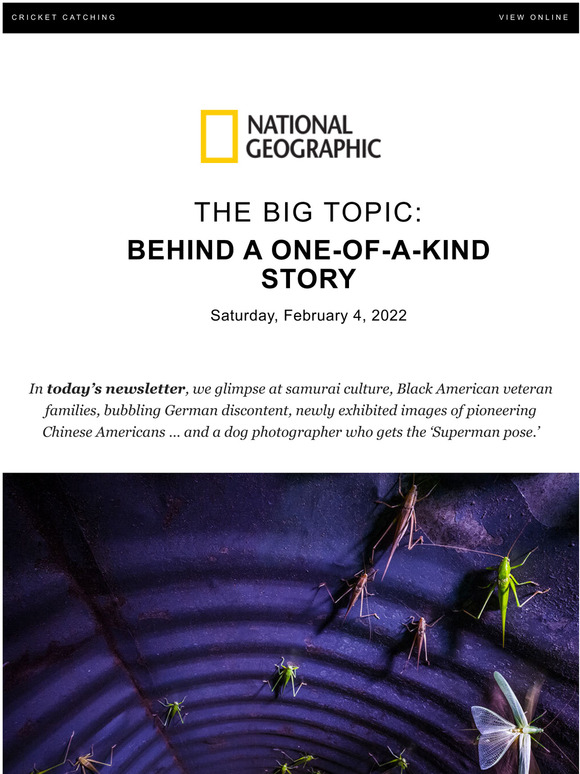 National Geographic Cricket huntings boom captured amid tricky