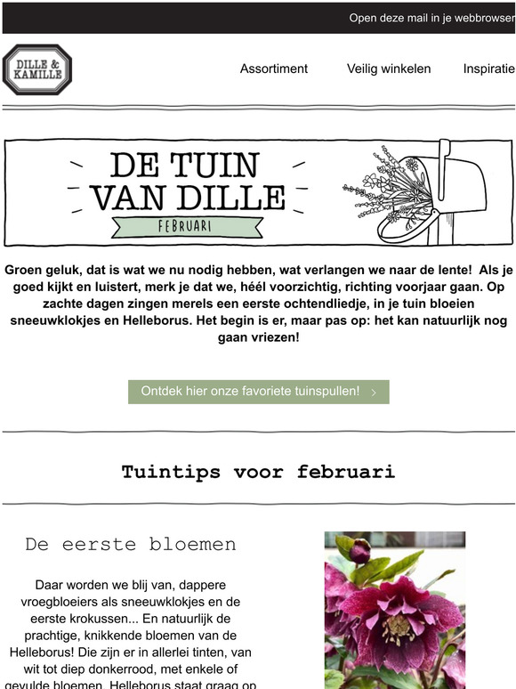 Uitkijken naar de lente! - Tuintips voor februari