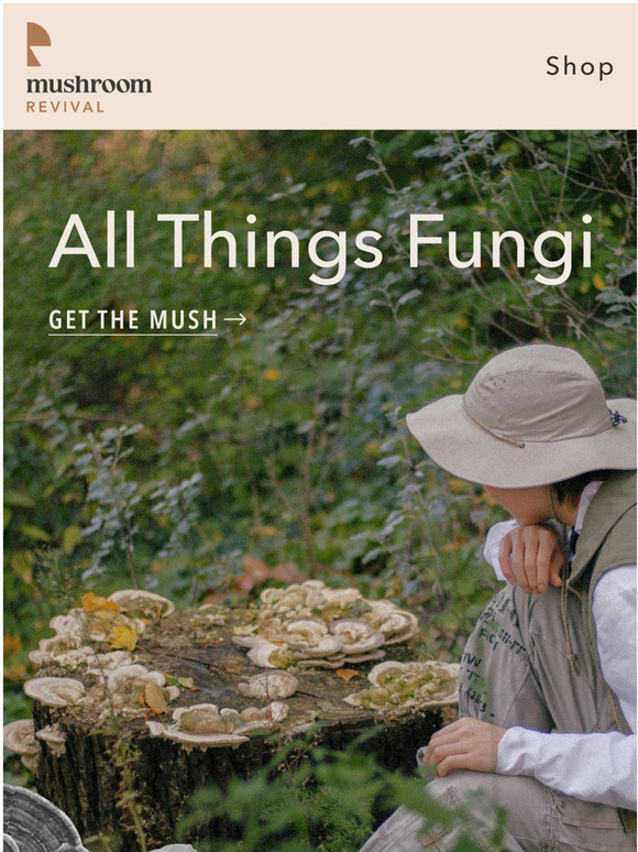 Mushroom Revival Mushie Mentions of the Month Milled